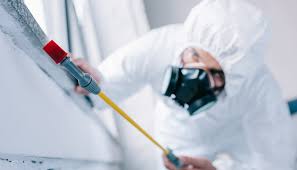 Best Pest Exclusion Services  in Lexico, CA